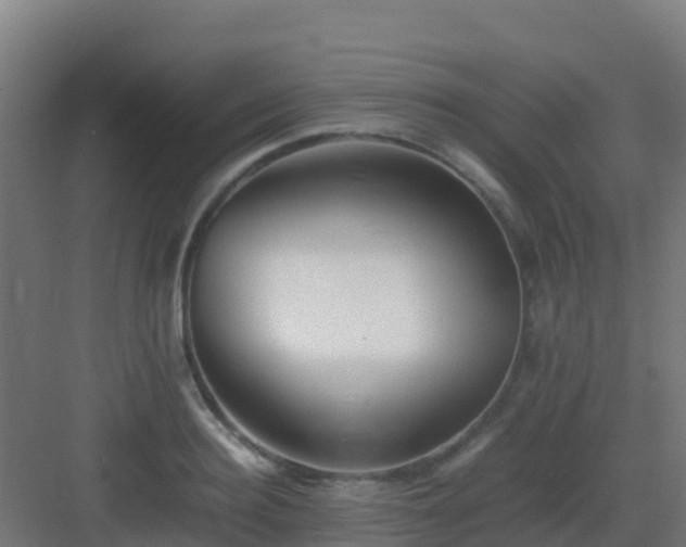X0000083030940200702091339
