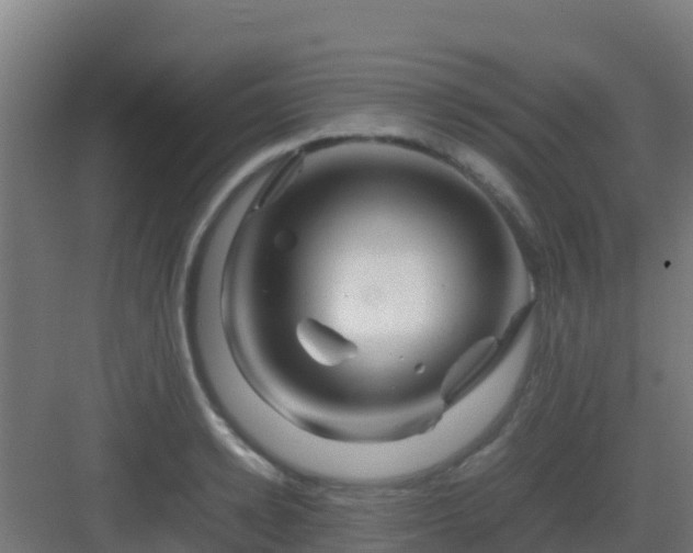 X0000083030942200702091339