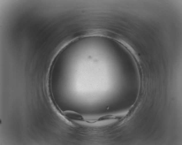 X0000083030949200702091339