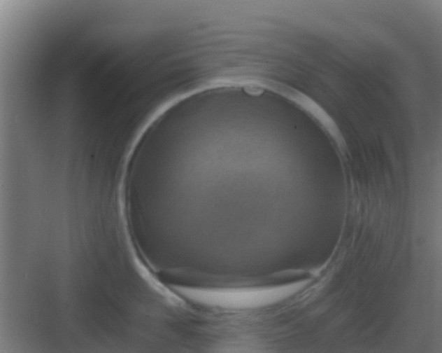 X0000083030958200702091339