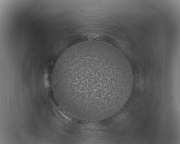 X0000083030962200702091339