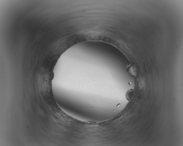 X0000083030964200702091339