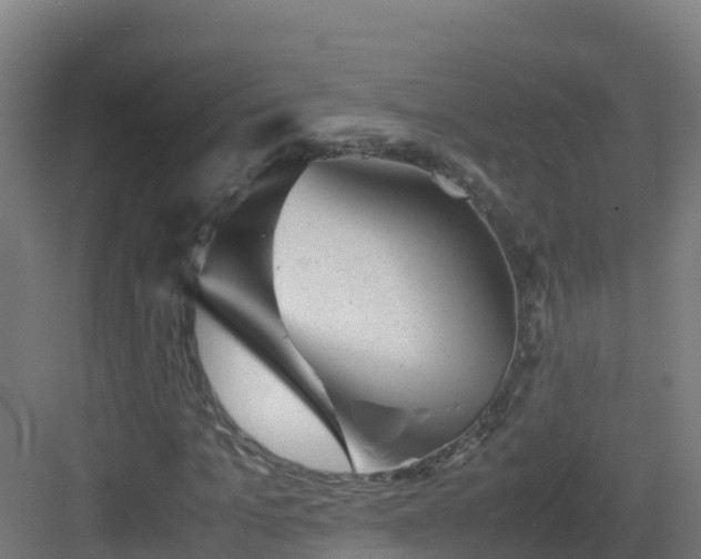 X0000083030965200702091339