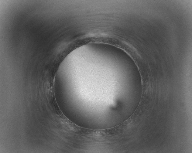 X0000083030966200702091339