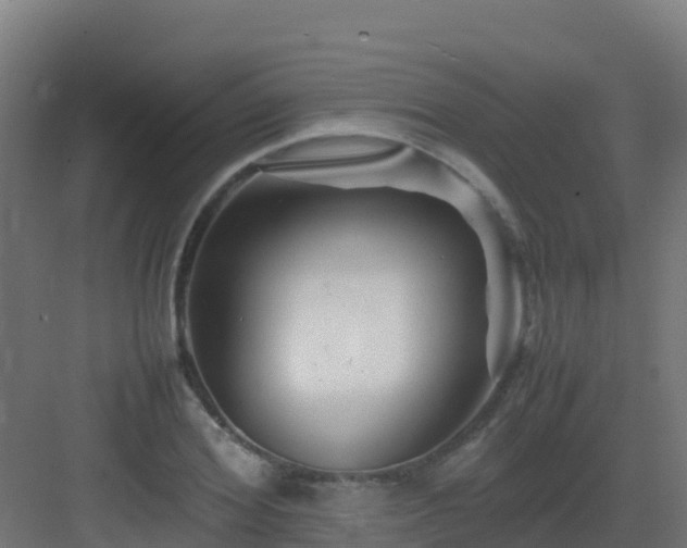 X0000083030980200702091338