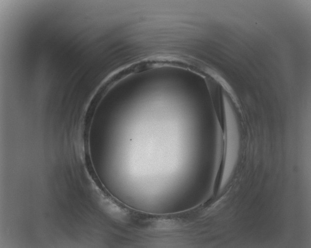 X0000083030984200702091338