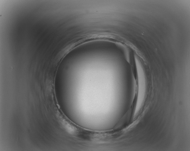 X0000083030985200702091338