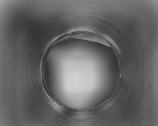 X0000083030988200702091338