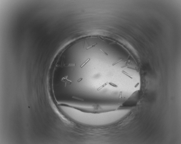 X0000083030991200702091338