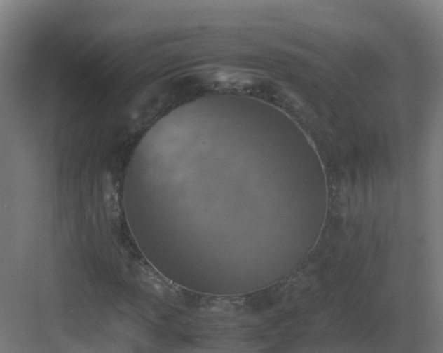 X0000083031013200702091337