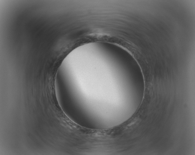 X0000083031014200702091337