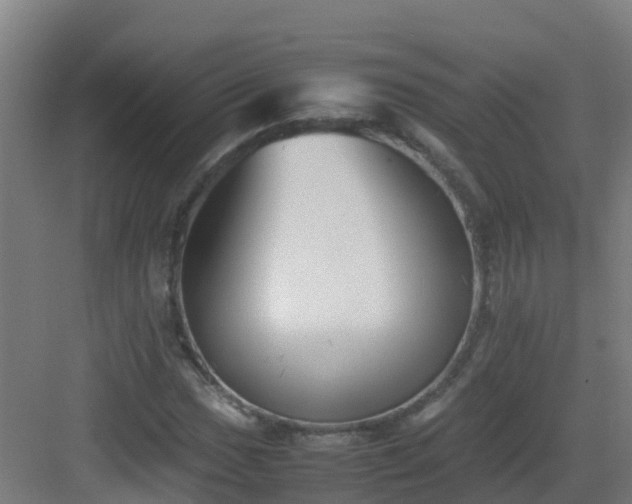 X0000083031017200702091337