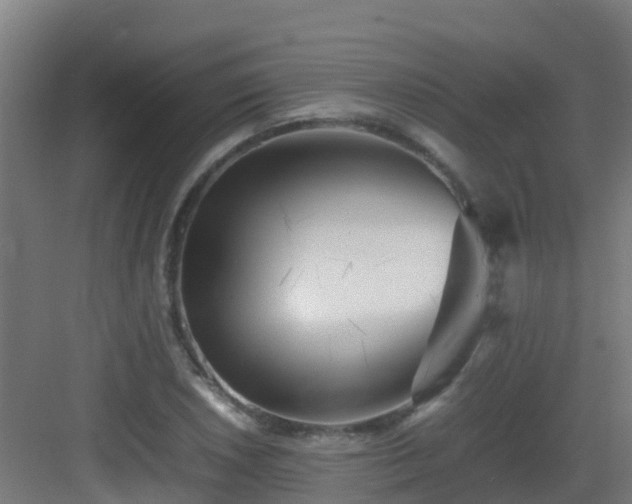 X0000083031026200702091337
