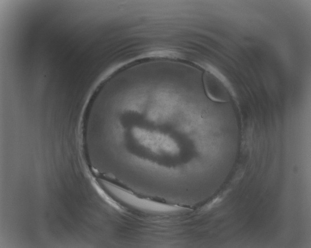X0000083031037200702091338