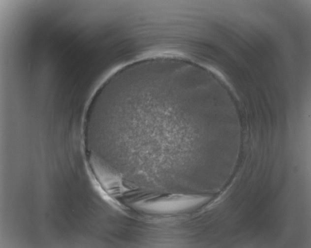 X0000083031038200702091338