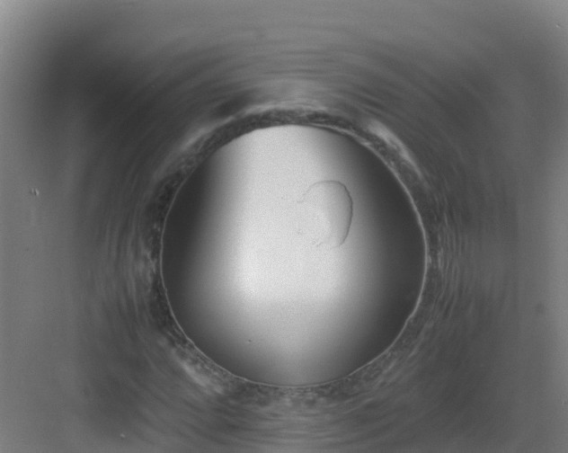 X0000083031064200702091337