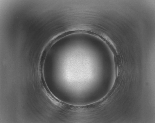 X0000083031072200702091337