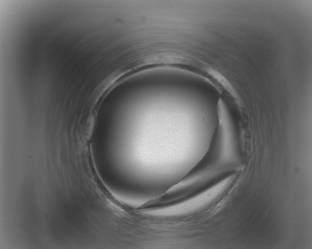 X0000083031081200702091337