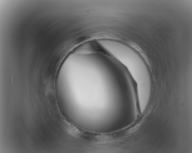 X0000083031089200702091336
