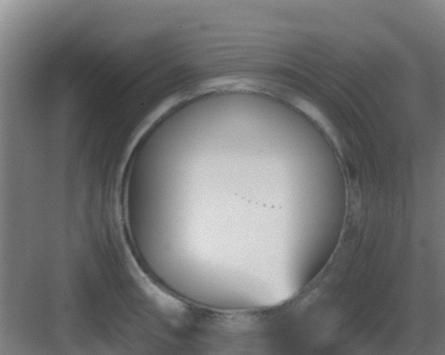 X0000083031090200702091336