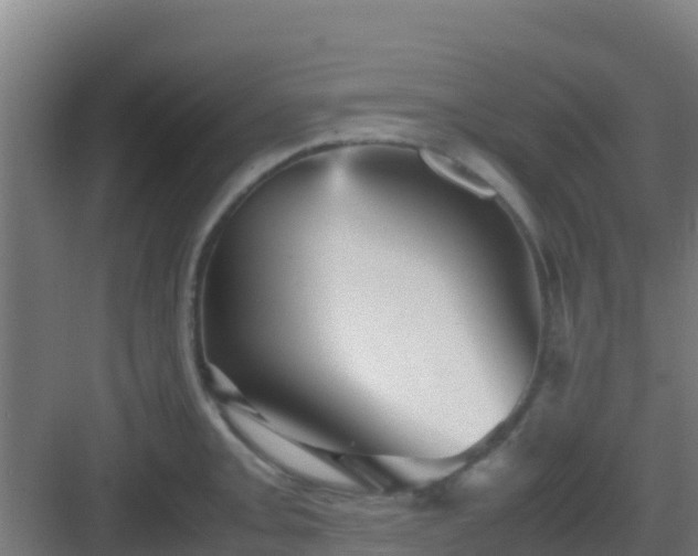 X0000083031093200702091336