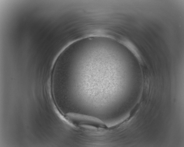 X0000083031100200702091336