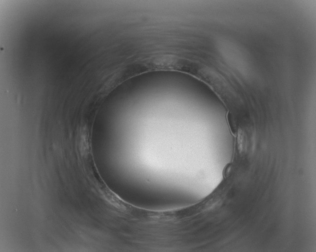 X0000083031107200702091335