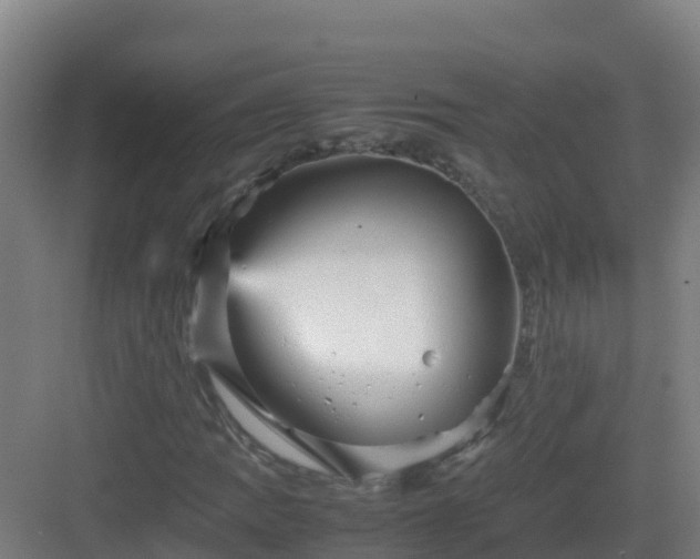 X0000083031109200702091335