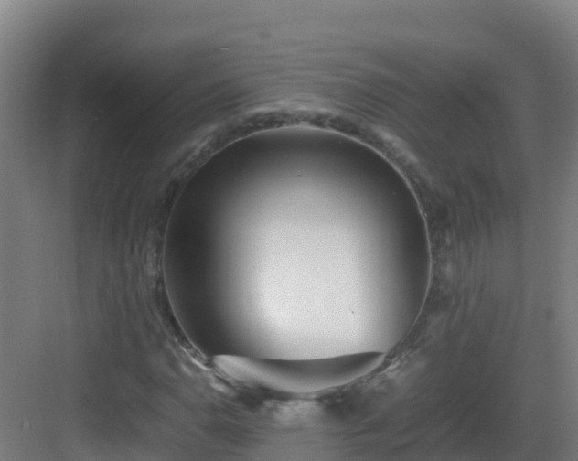 X0000083031110200702091336