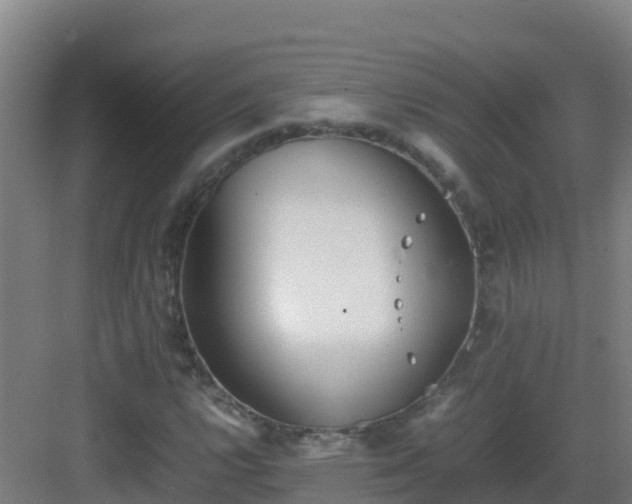 X0000083031112200702091336