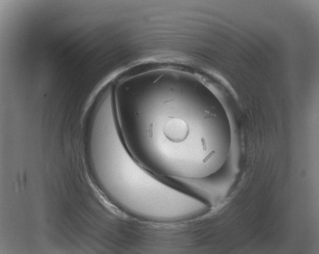 X0000083031114200702091336