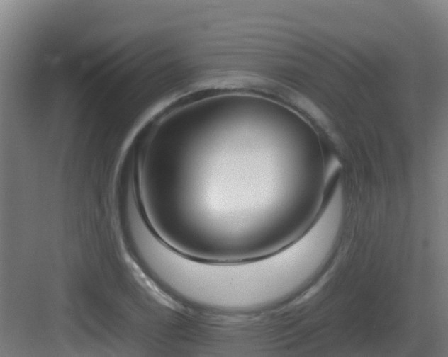 X0000083031122200702091336