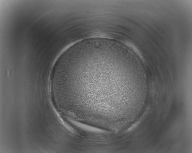 X0000083031125200702091336