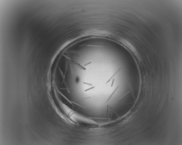 X0000083031128200702091336