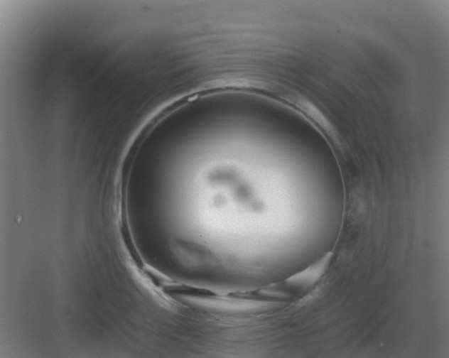 X0000083031132200702091336