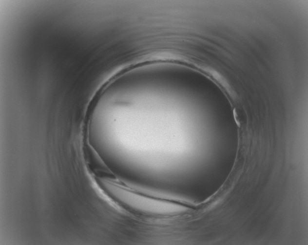 X0000083031134200702091336