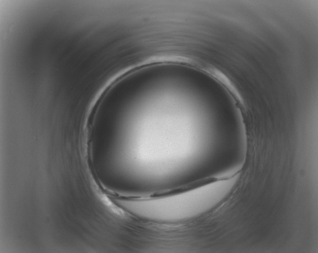 X0000083031140200702091336