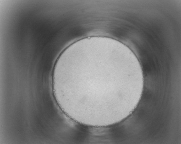 X0000083031150200702091336