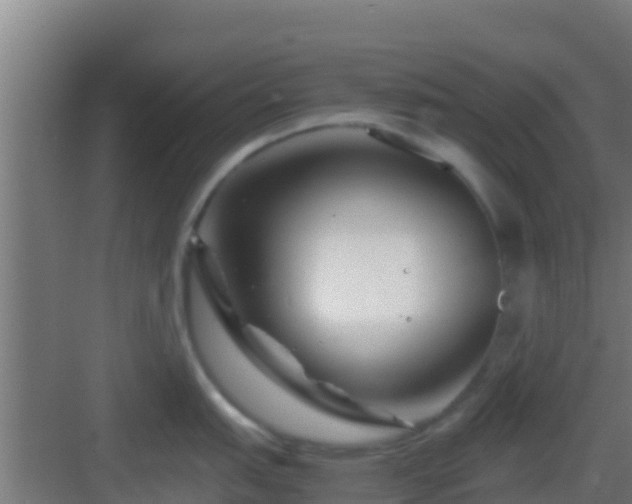 X0000083031151200702091336