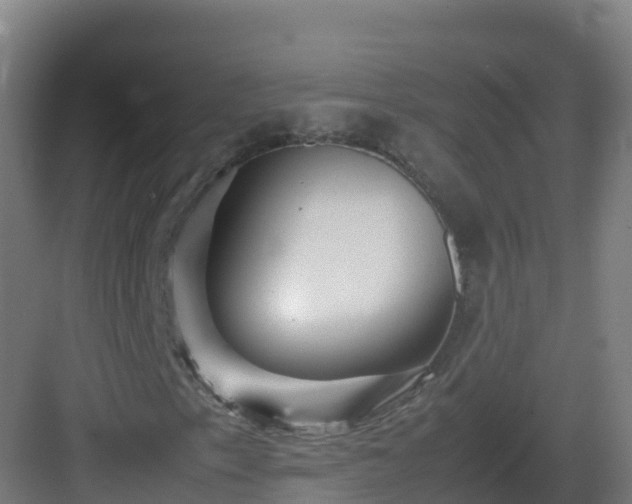 X0000083031153200702091335