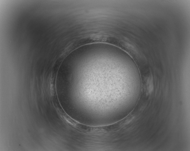 X0000083031154200702091335