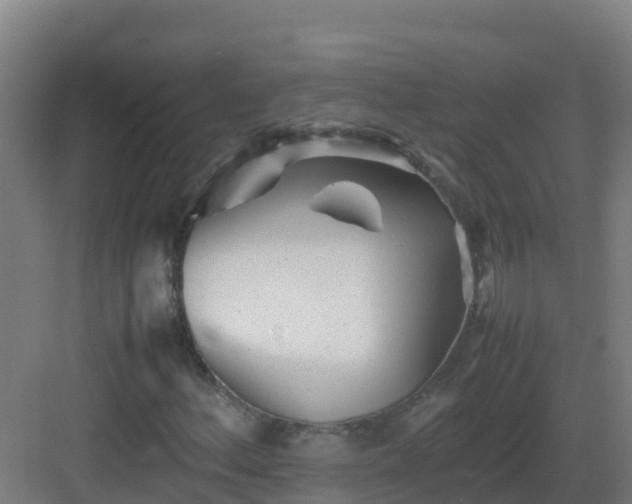 X0000083031156200702091335