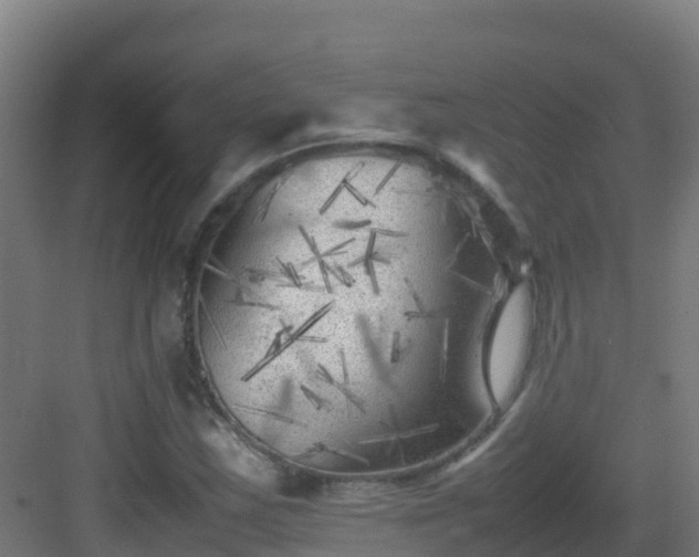 X0000083031163200702091335