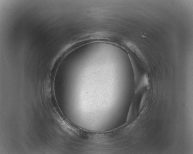 X0000083031164200702091335