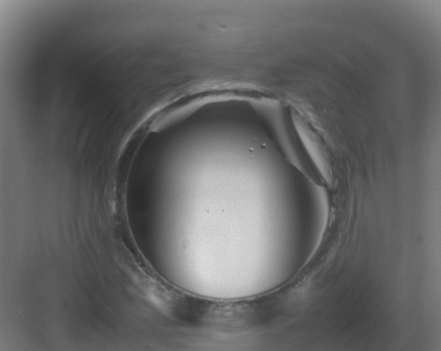 X0000083031165200702091335