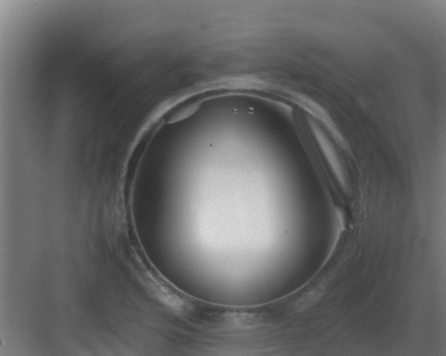 X0000083031176200702091335