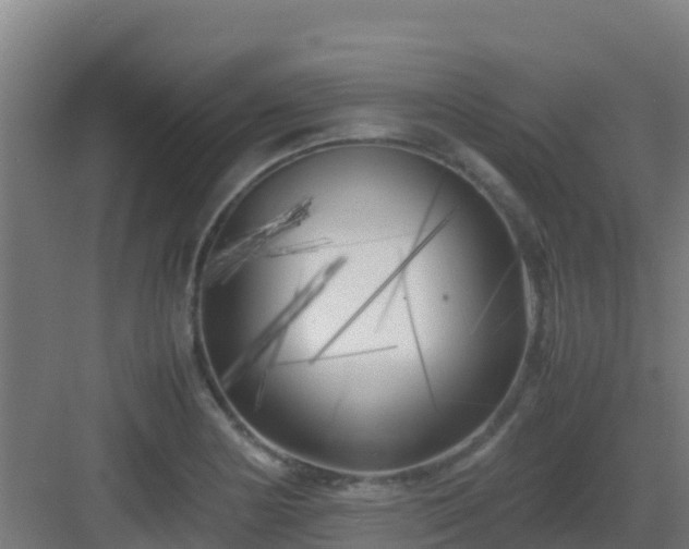 X0000083031178200702091335