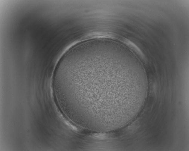 X0000083031182200702091335