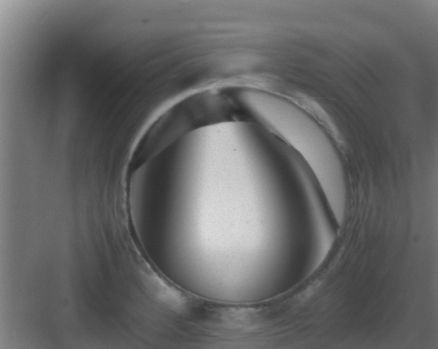 X0000083031184200702091335