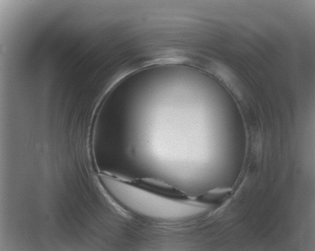 X0000083031186200702091335